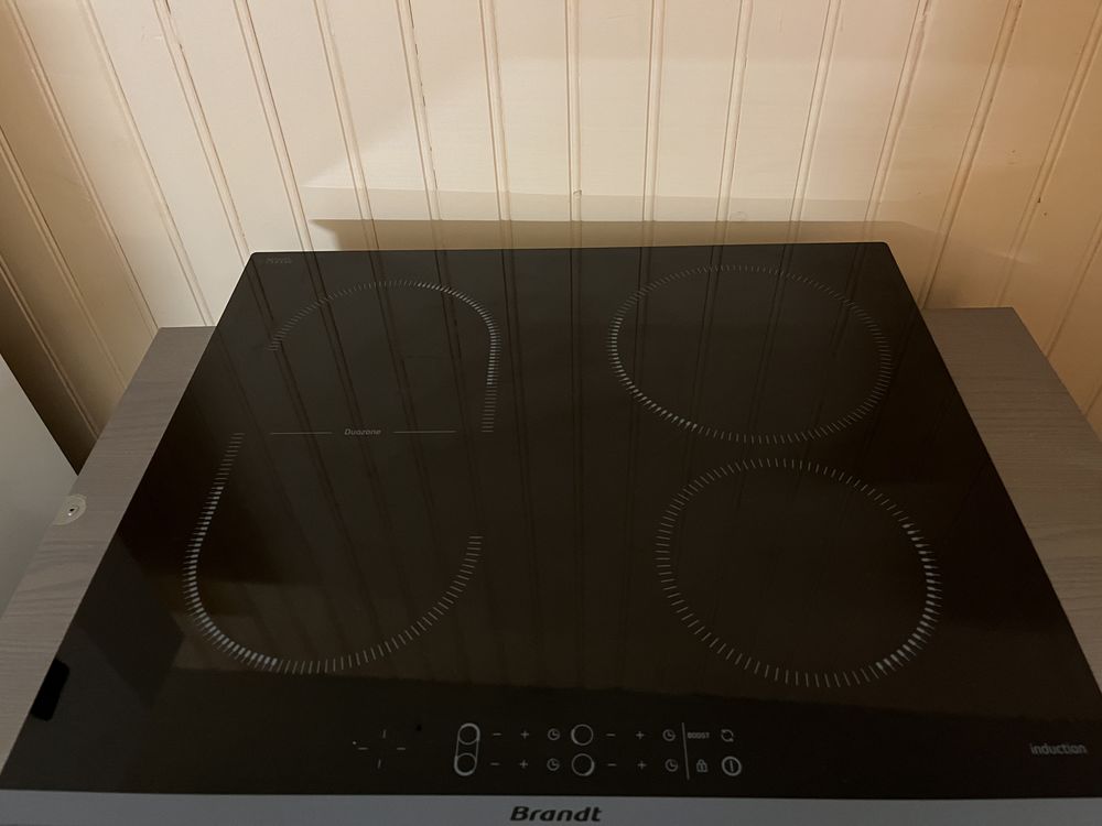 Plaque induction 160 Royat (63)