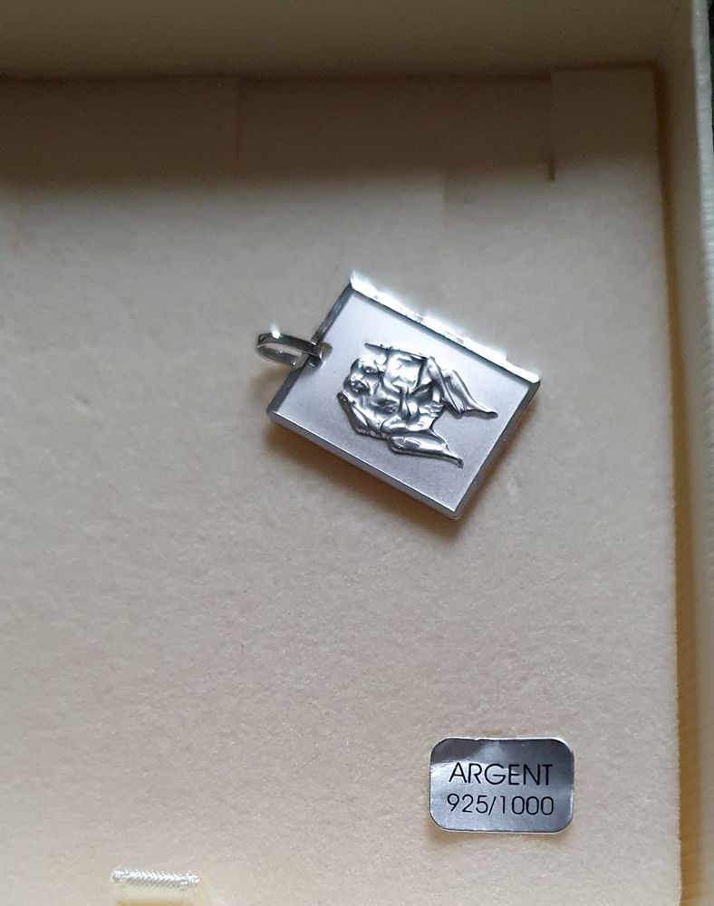 Plaque/m�daillon neuf du G�meaux 25 Rochemaure (07)