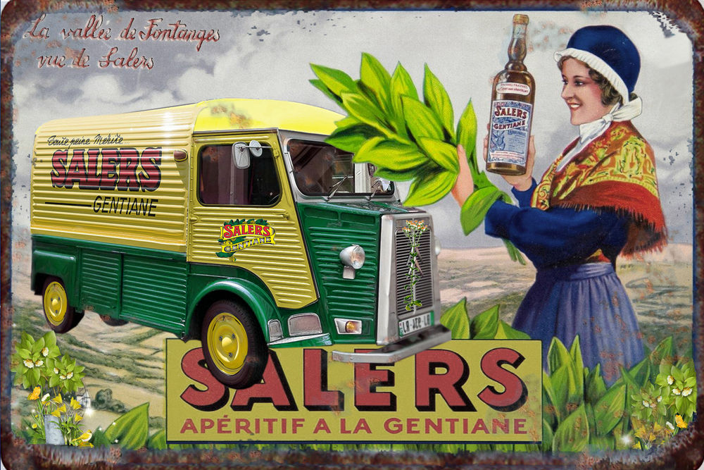 30 X 20 Plaque M�tal D�co Salers Gentiane TUBE 6 Sain-Bel (69)