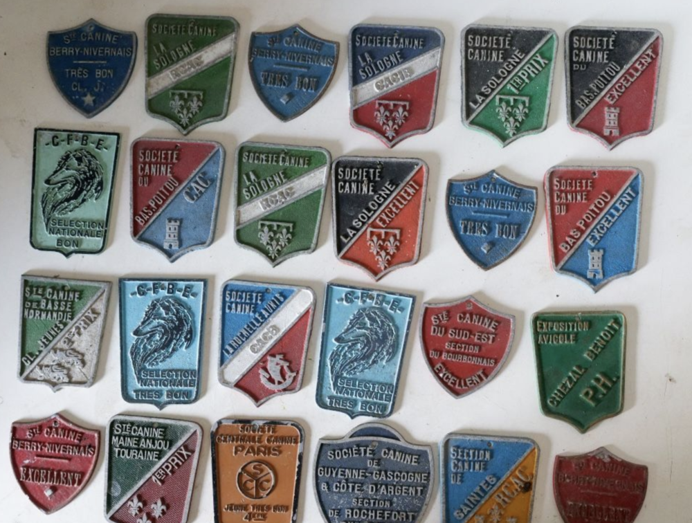 plaques de diverses soci�t�s canines 100 Saint-Saviol (86)