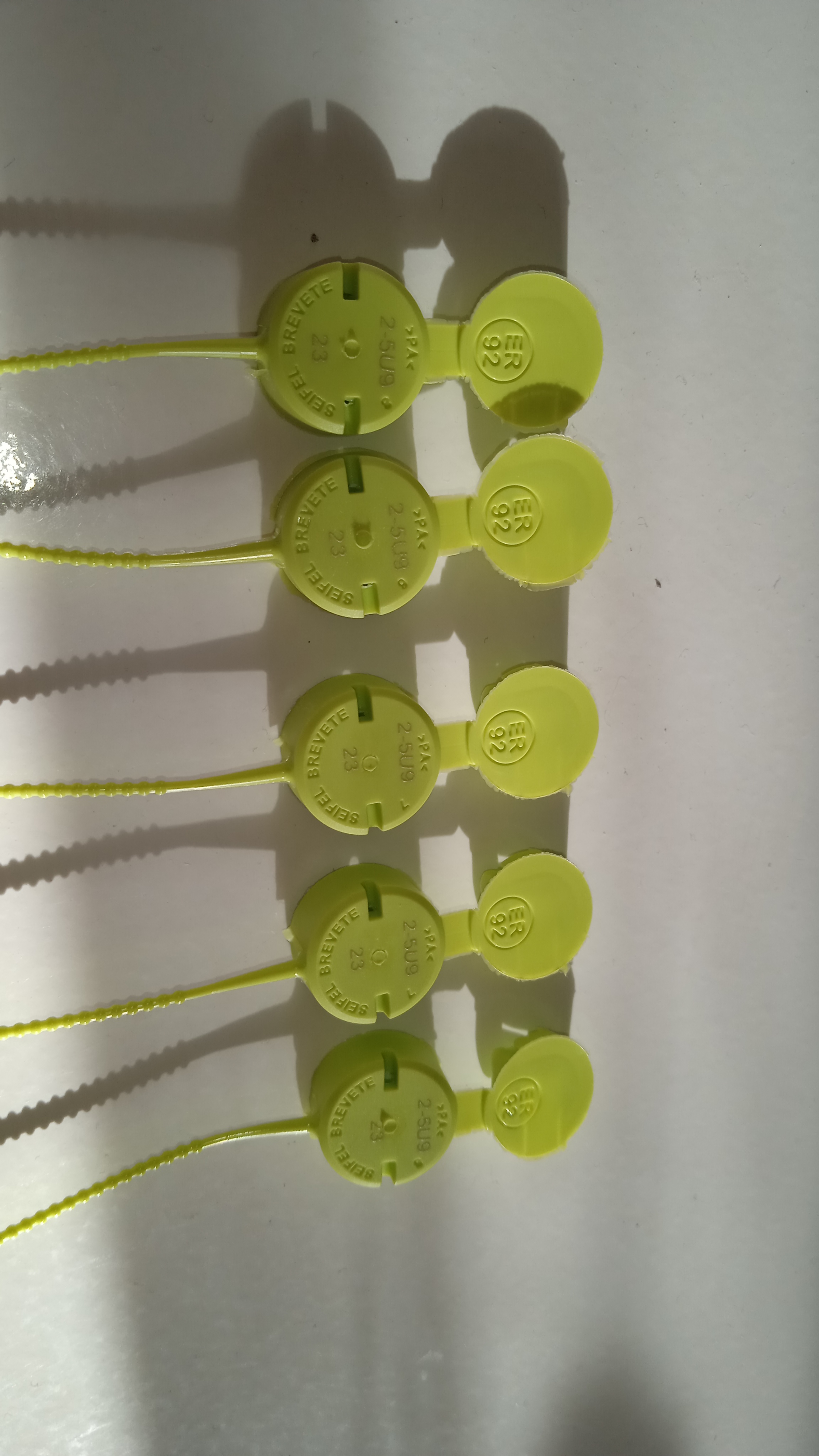 5 plasto scell�s ronds 20 Auriol (13)