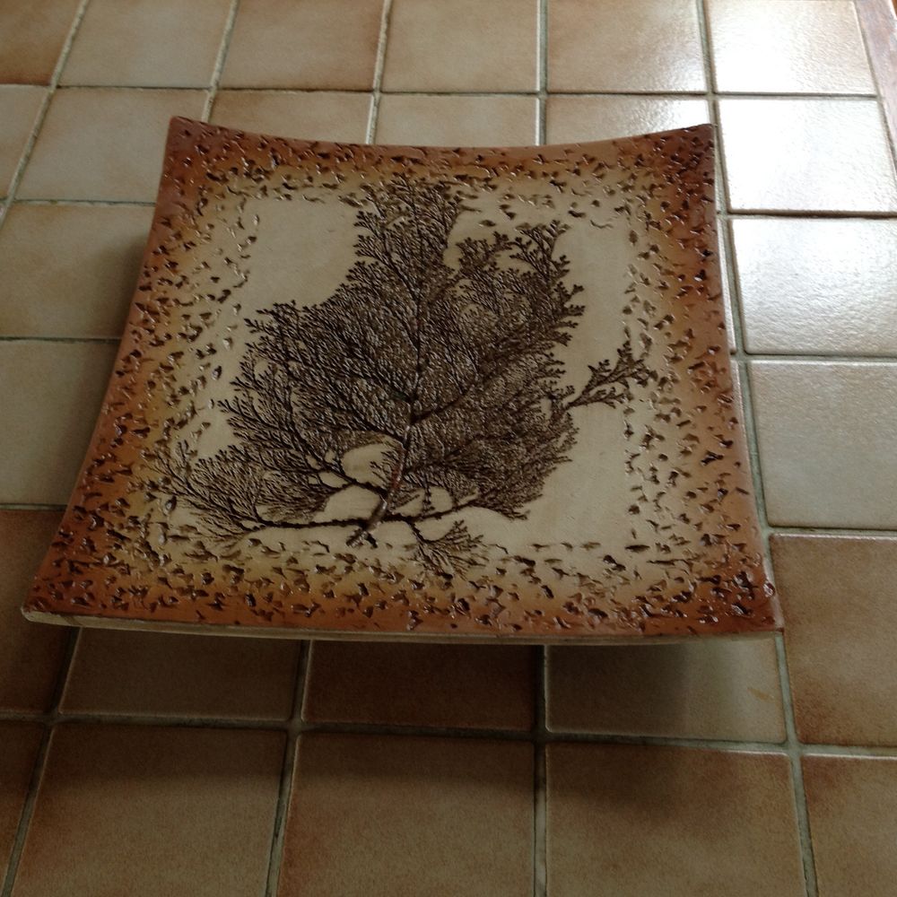 plat � fruit 5 Gaillac (81)