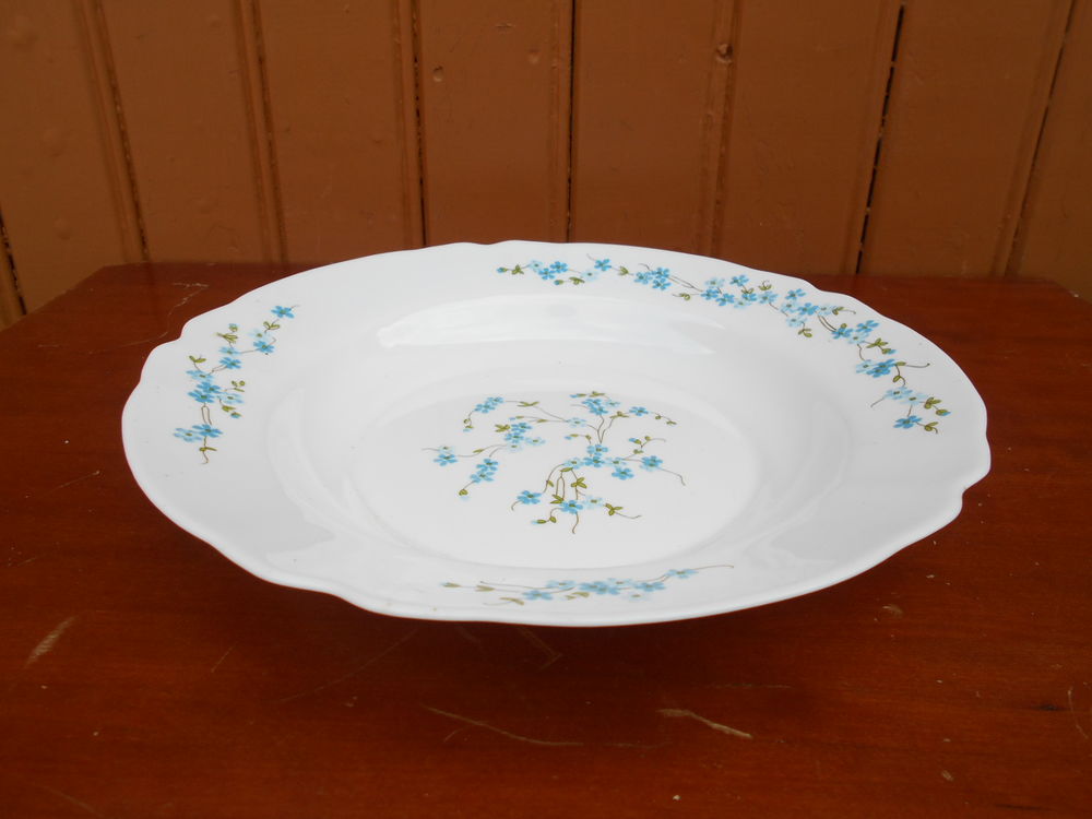 PLAT ROND CREUX   Arcopal   5 Dammarie-les-Lys (77)