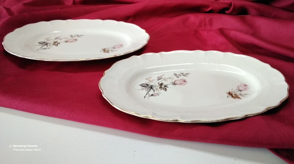 PLAT 
6 Saint-Priest (69)