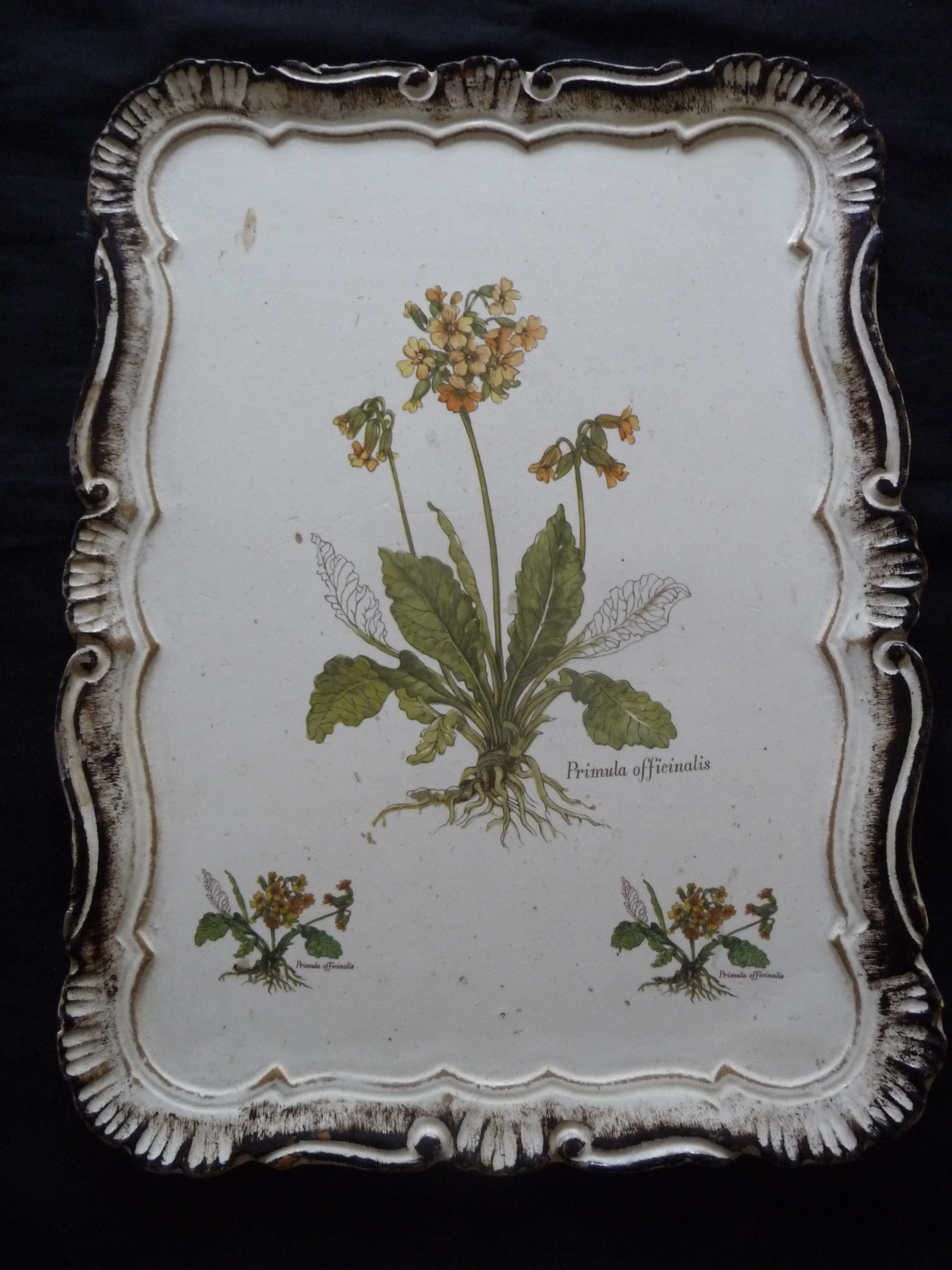 Plateau florentin ancien en bois peint 9 Mouvaux (59)