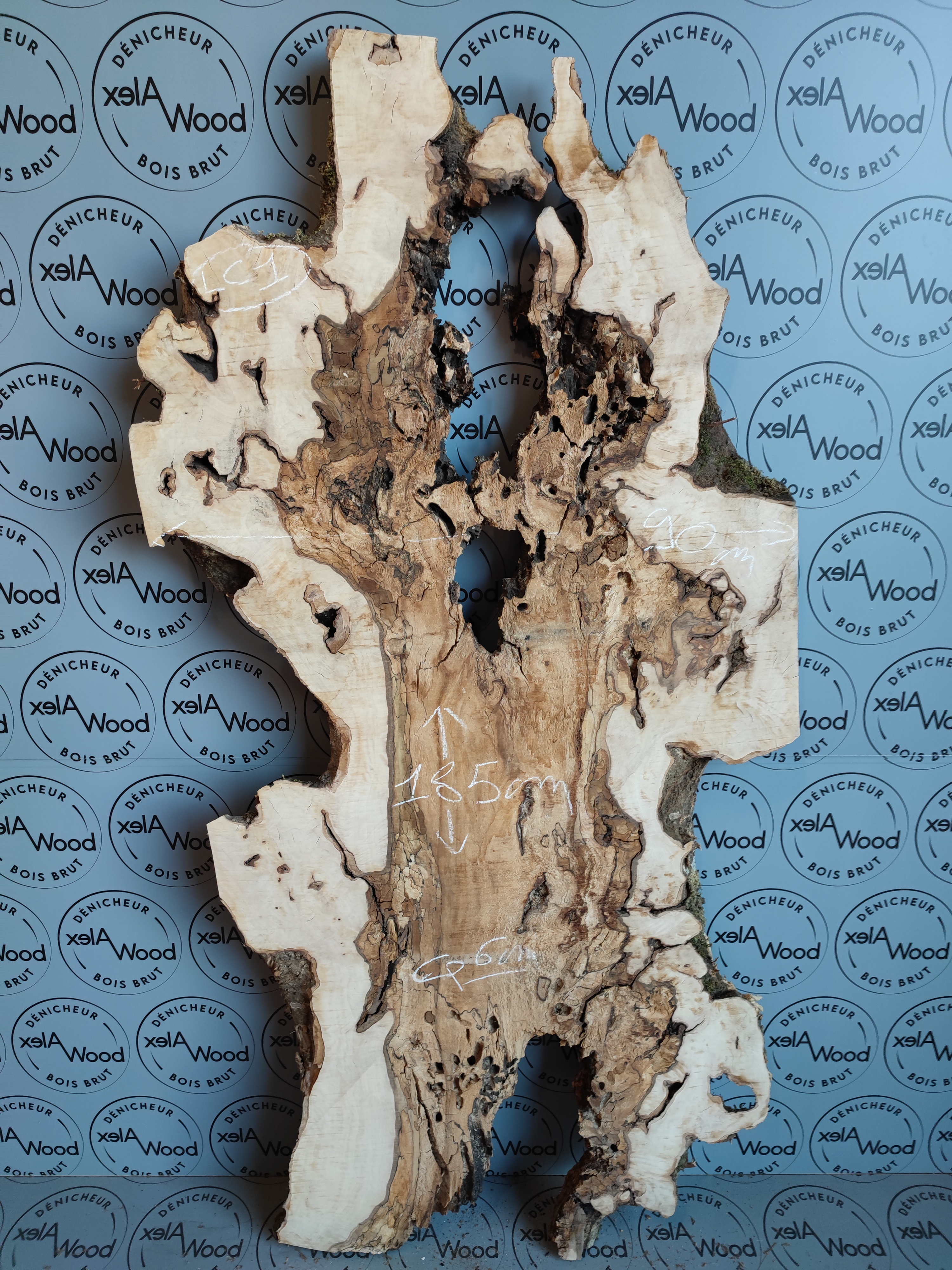 Plateau planche de loupe de charme bois brut 650 Toulouse (31)