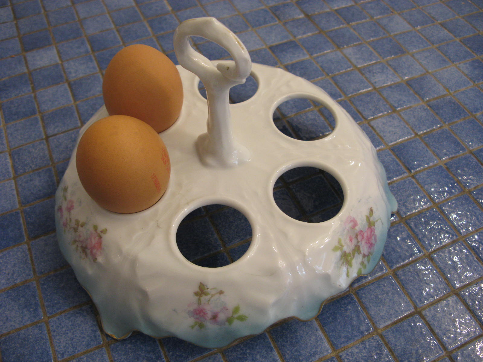 plateau pour les oeufs 22 �taples (62)