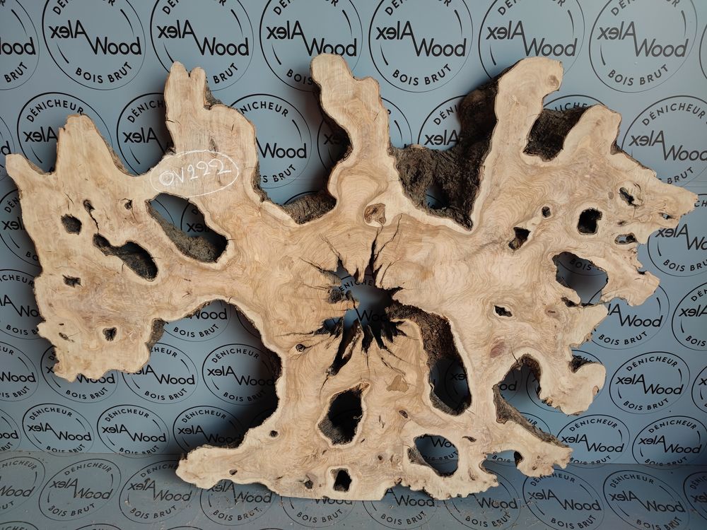 Plateau racine d'olivier XXL bois brut
1199 Toulouse (31)