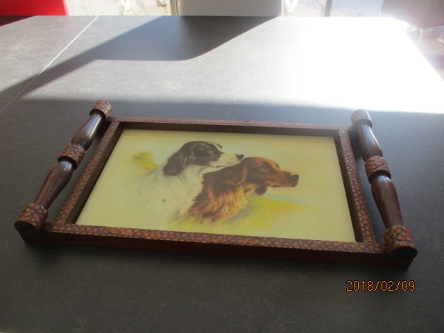 Plateau 20 Castres (81)