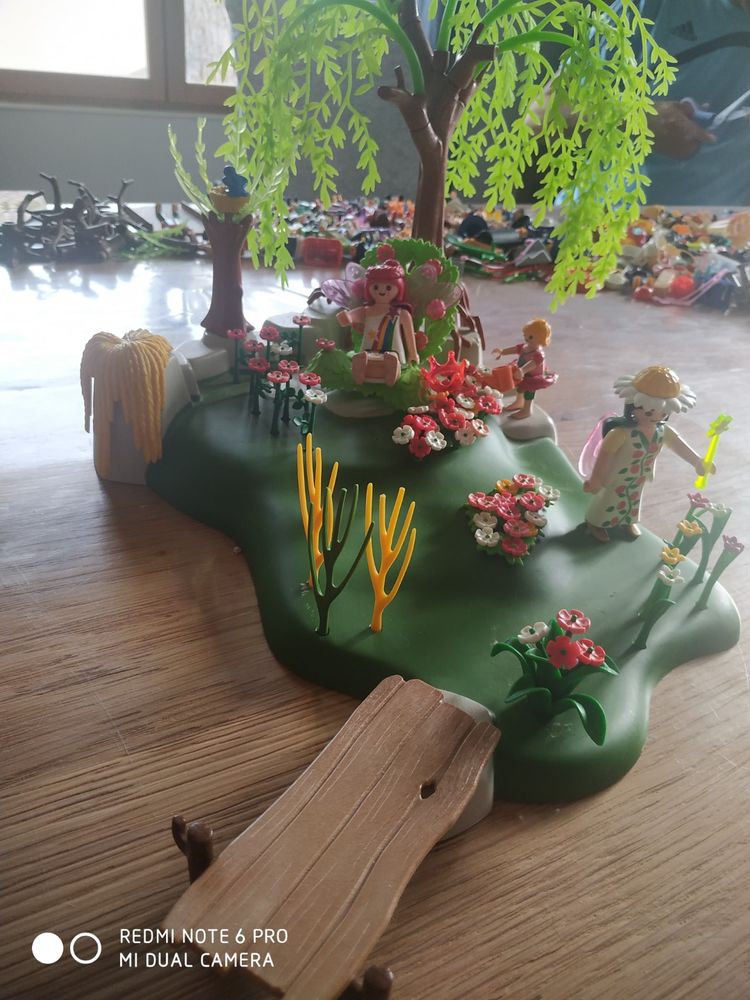 playmobil jardin des fees 20 Saint-Hippolyte-du-Fort (30)