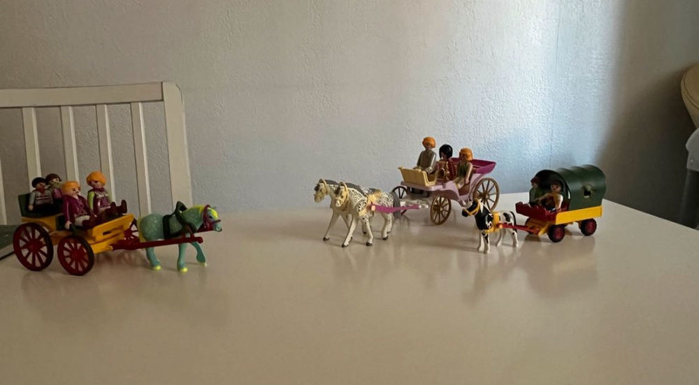 Playmobile 0 Toulouse (31)