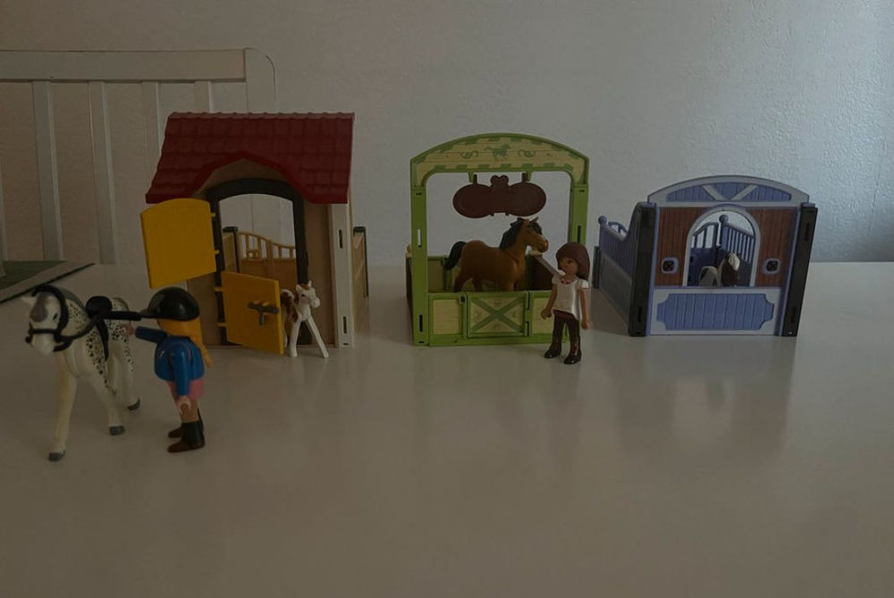 Playmobile 0 Toulouse (31)