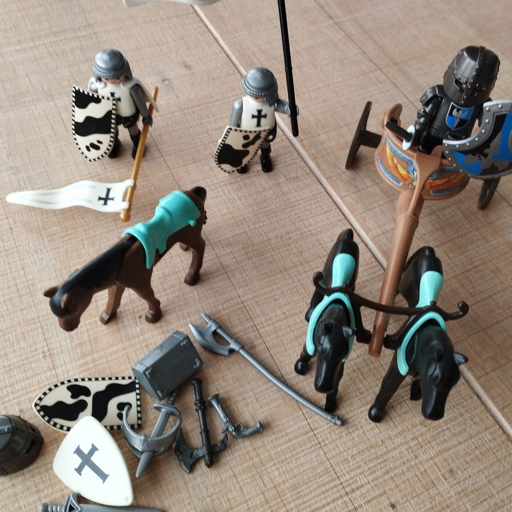 playmobils 10 Blois (41)