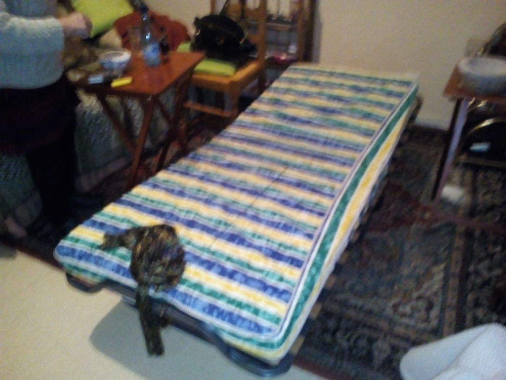 Lit pliant + sommier lattes + matelas 80 Orl�ans (45)