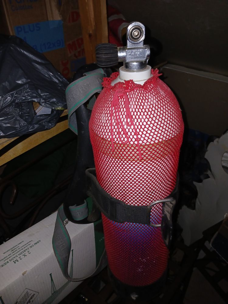 Plonger 350 Les Bordes (45)