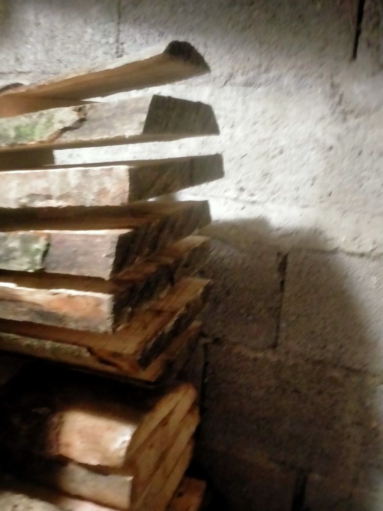 Plot de h�tre 60 Cornimont (88)