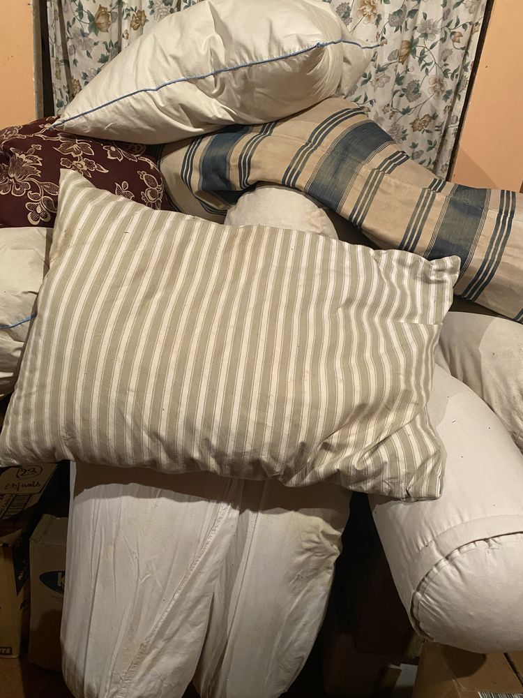 Plume d'oie � r�cup�rer dans anciens oreillers traversins 0 Saulieu (21)