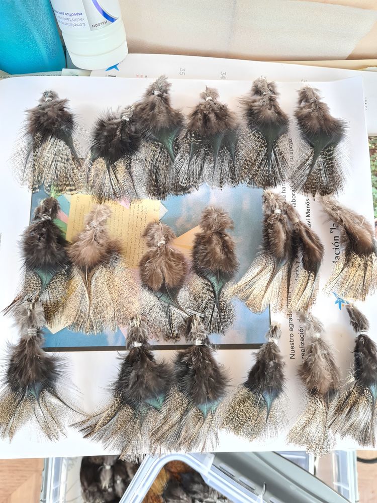 plumes de coq de Leon pour la p�che 4 Lons-le-Saunier (39)