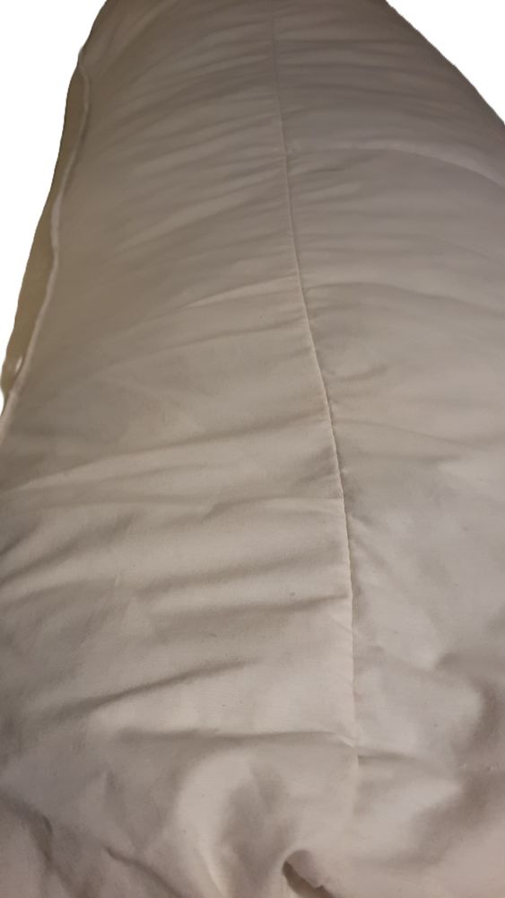 sac (5 kg) de plumes m�lang�es pour rembourrage canap�s 25 Paris 20 (75)