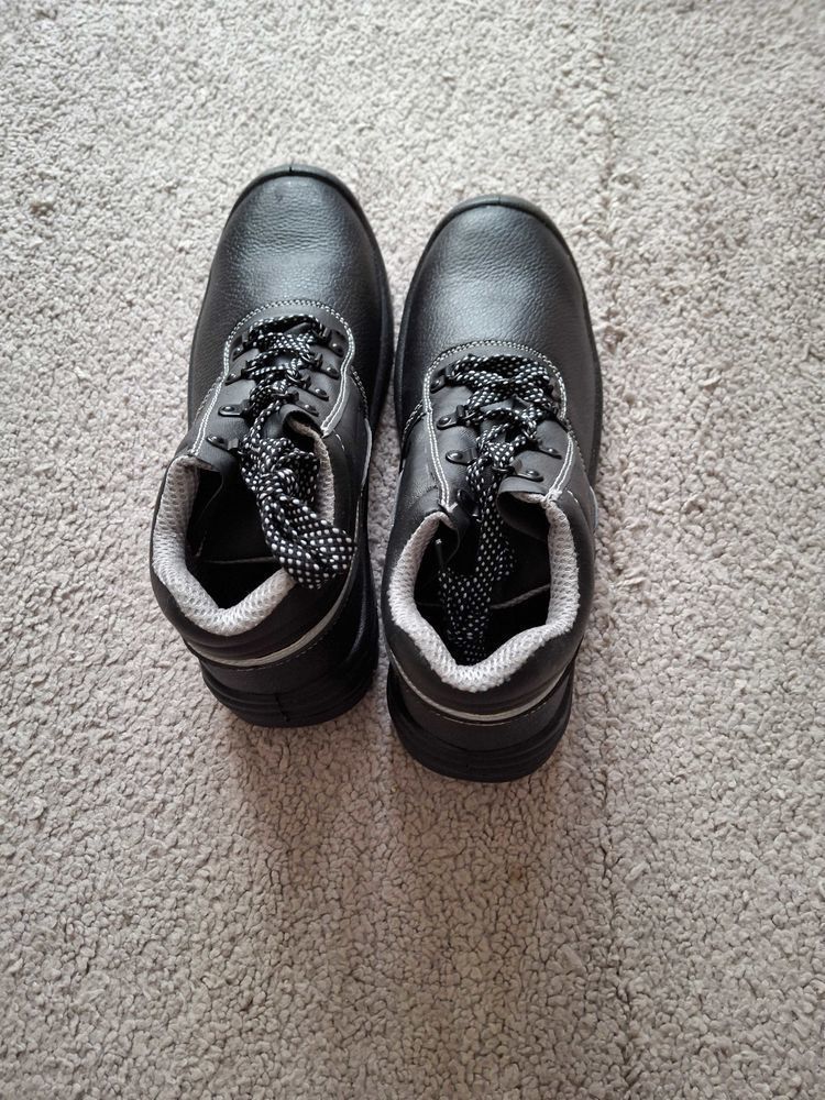 plusieurs articles sur perpignan 5 Perpignan (66)