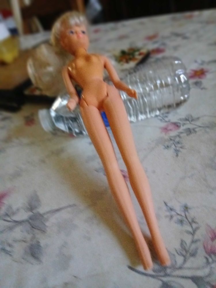 plusieurs poup�e mannequin 25 Selles-sur-Cher (41)