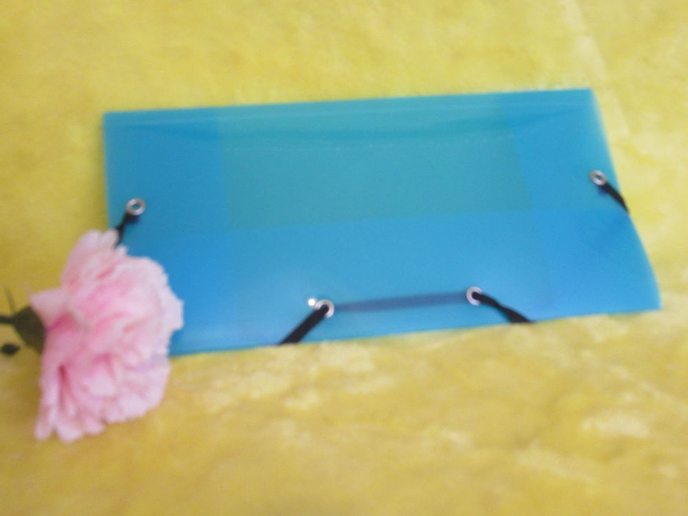 Pochette plastique bleu - � rabat - NEUVE 2 Livry-Gargan (93)