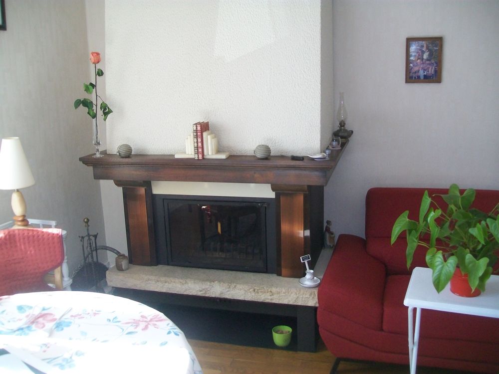 poele cheminee supra oragnier 0 Ronchamp (70)