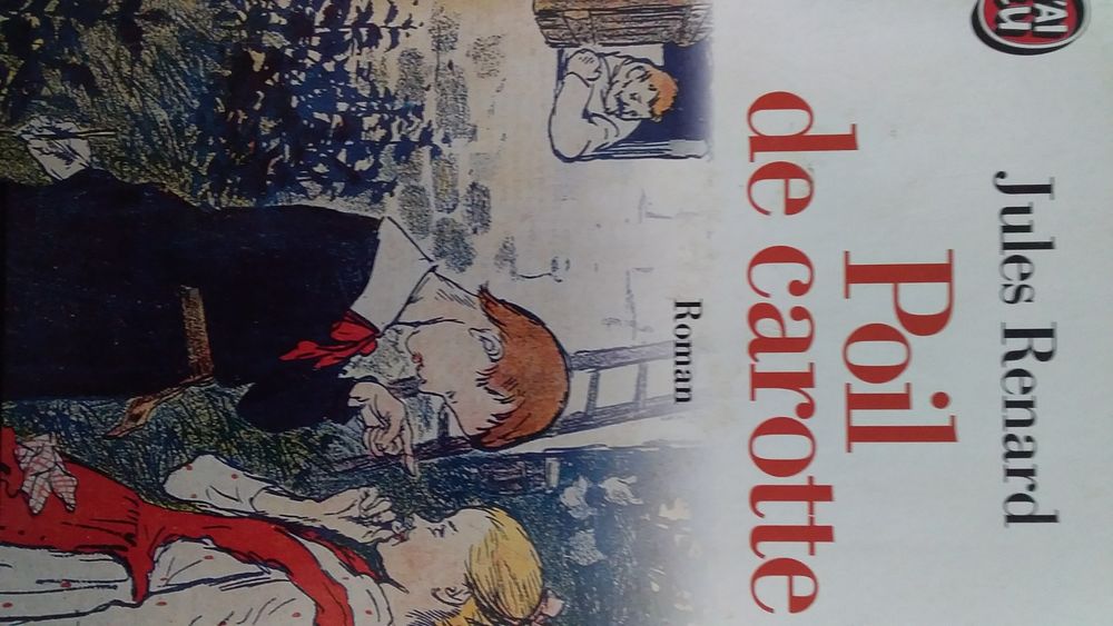 POIL DE CAROTTE 2 Bobigny (93)