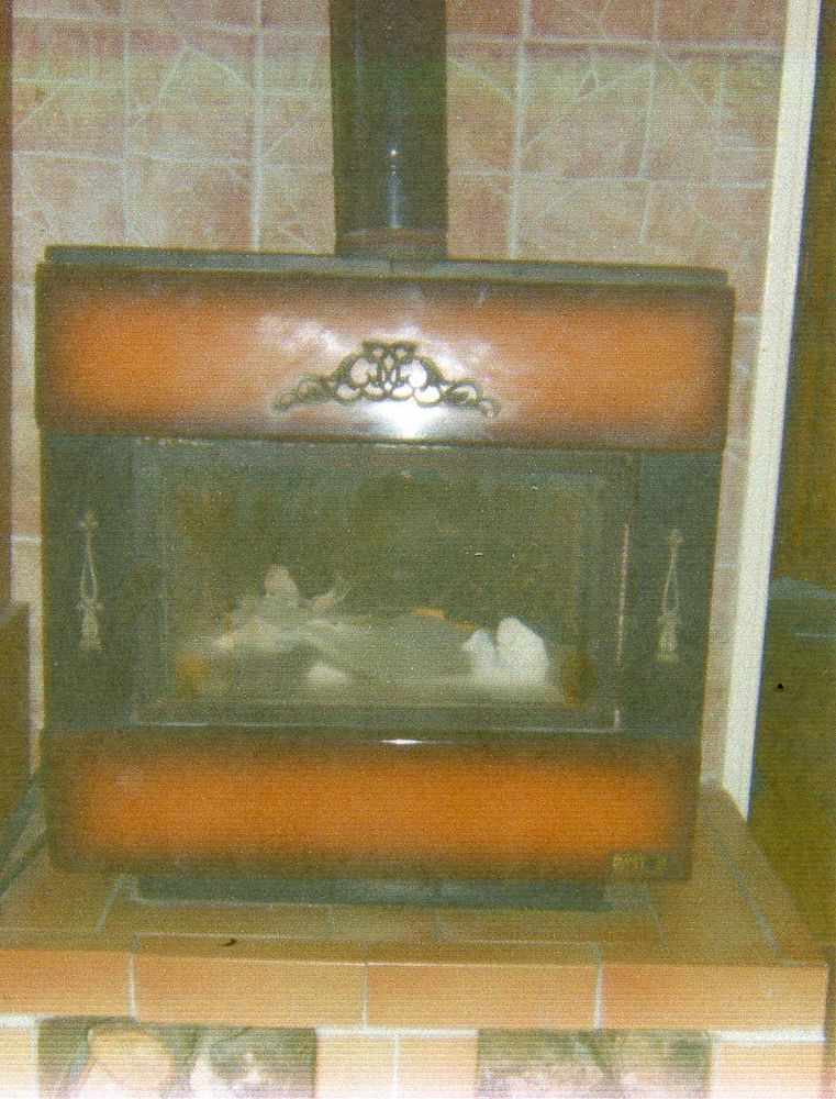 poile a bois 0 Arles (13)