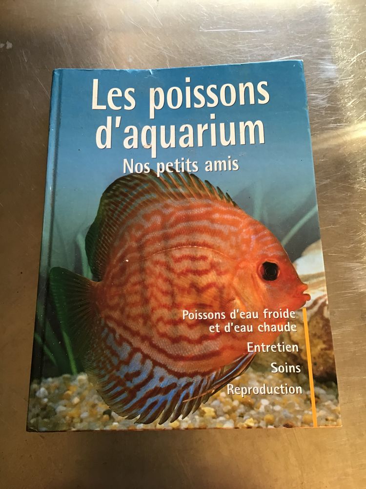 les poissons d'aquarium 1 Verneuil-sur-Avre (27)