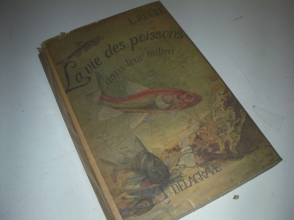 la vie des poissons 25 Roques (31)