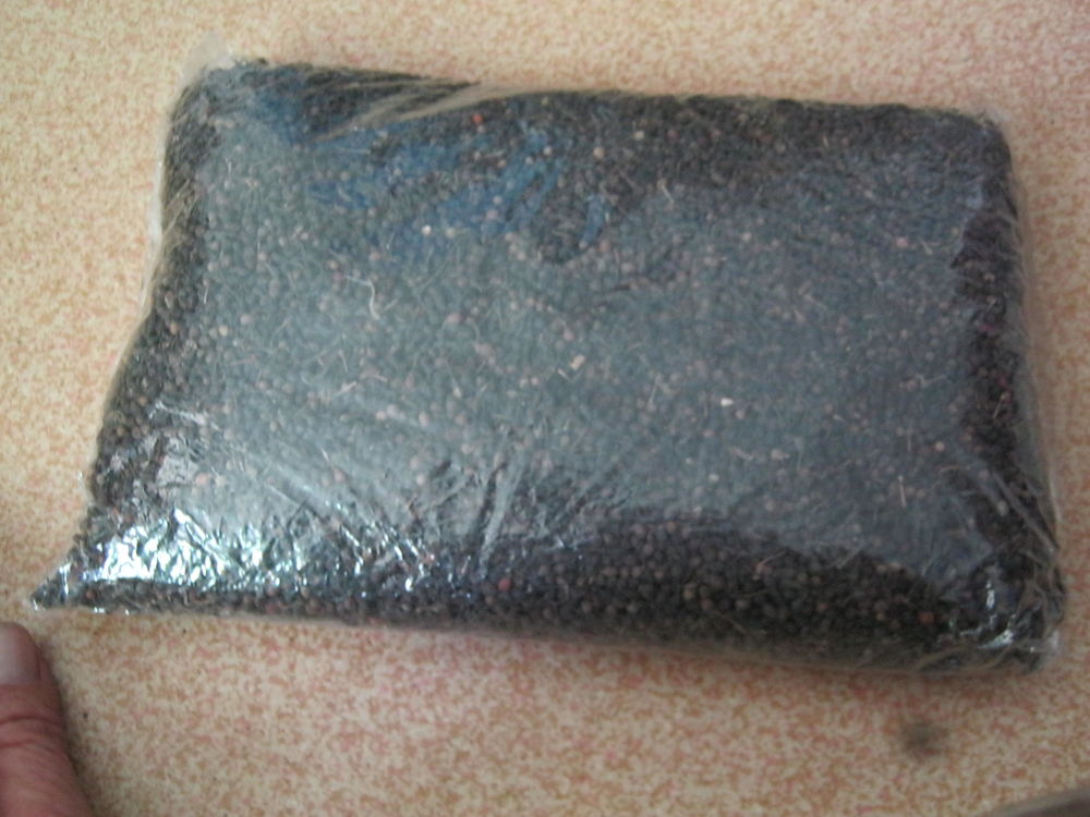 Poivre sauvage de Madagascar. 60 Sainte-Foy-la-Grande (33)