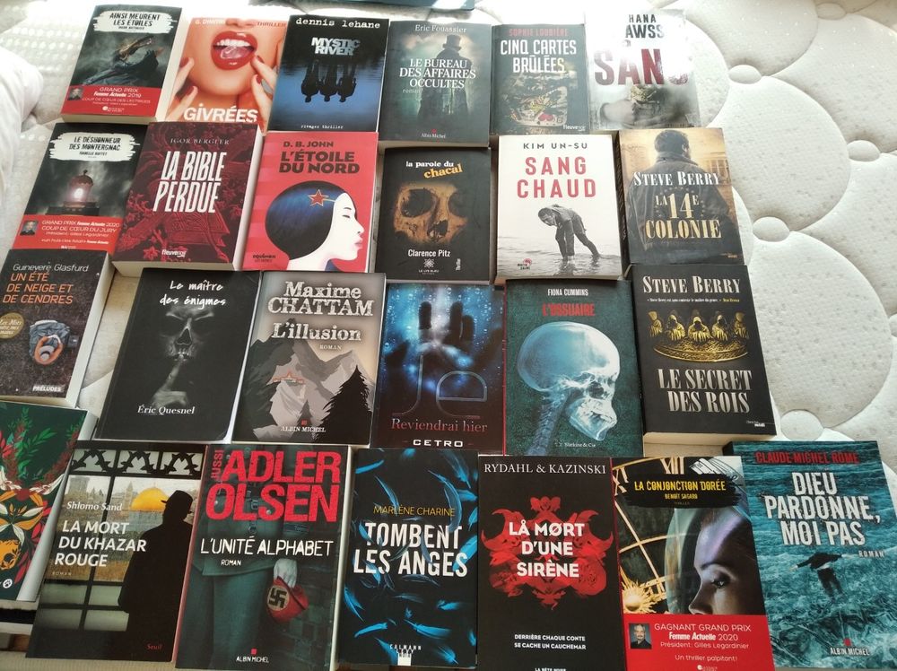 Lot 79 polars, thrillers, polars historiques grand format 4 Alfortville (94)