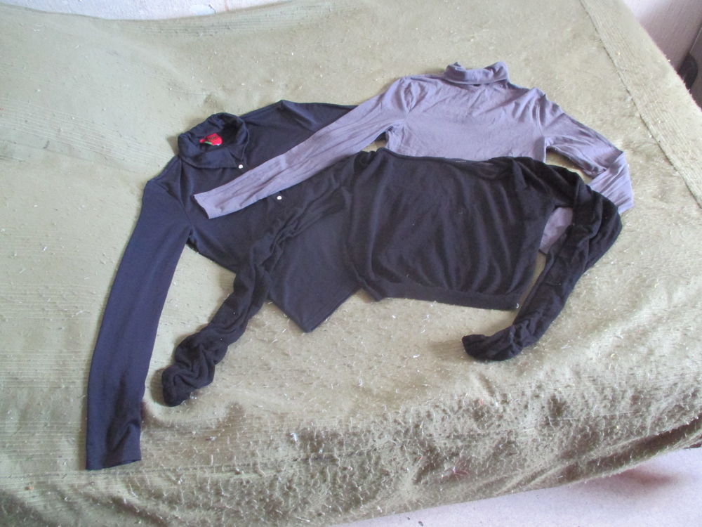 polo,,ou tee-shirt manches longues 0 Talence (33)