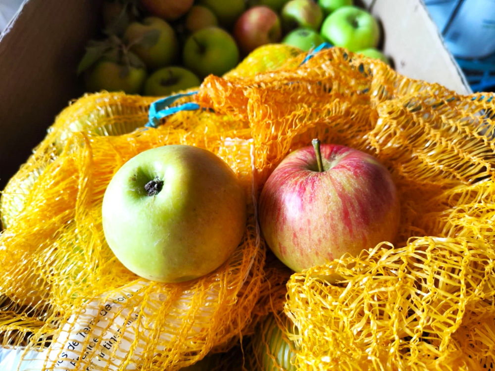 Pommes Pink Lady 0 Vaux-sur-Somme (80)