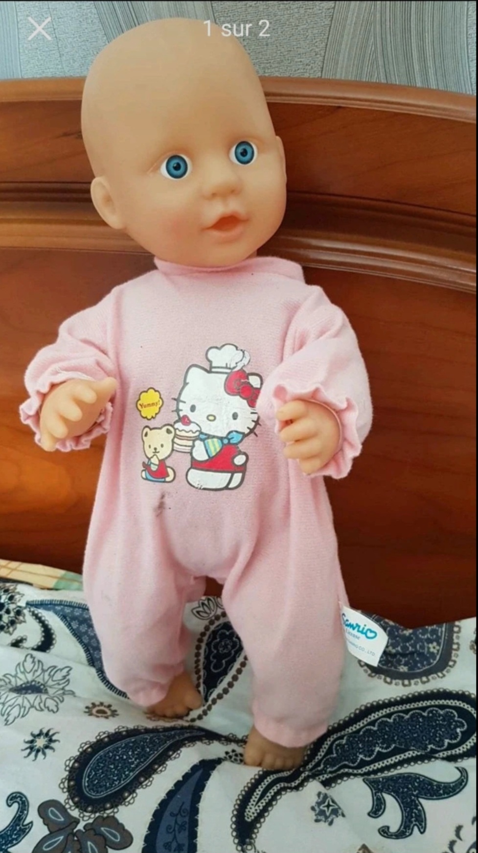 pompon 30 cm tbe 3 Quetigny (21)