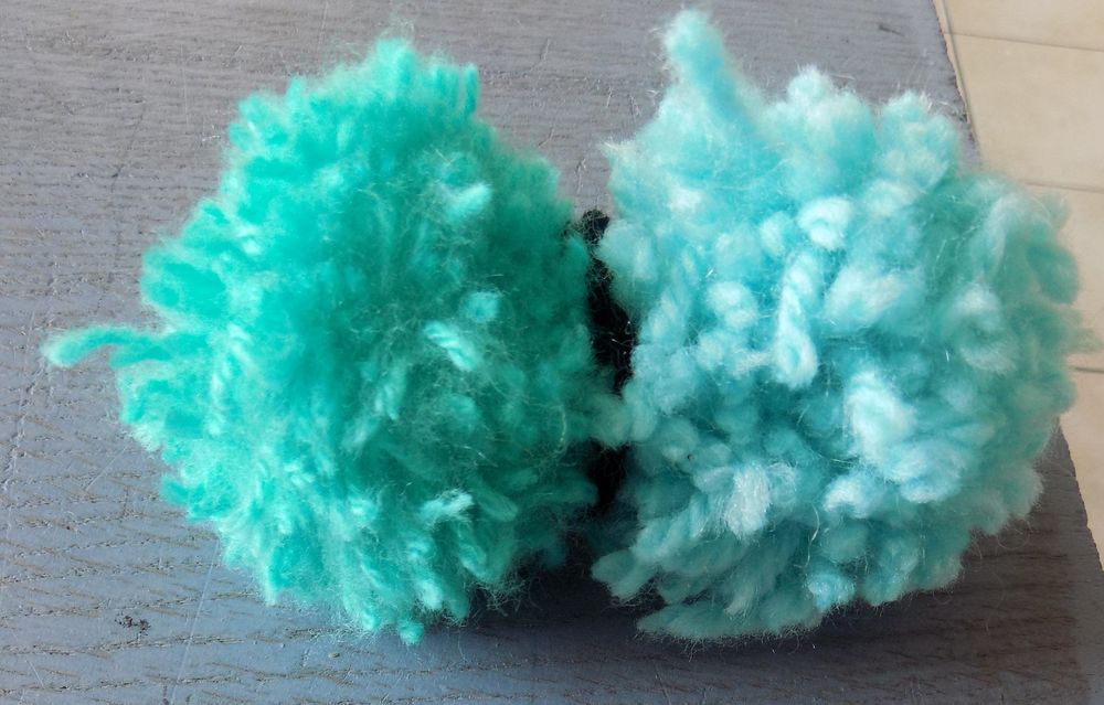 Pompon 1 La Motte-d'Aveillans (38)