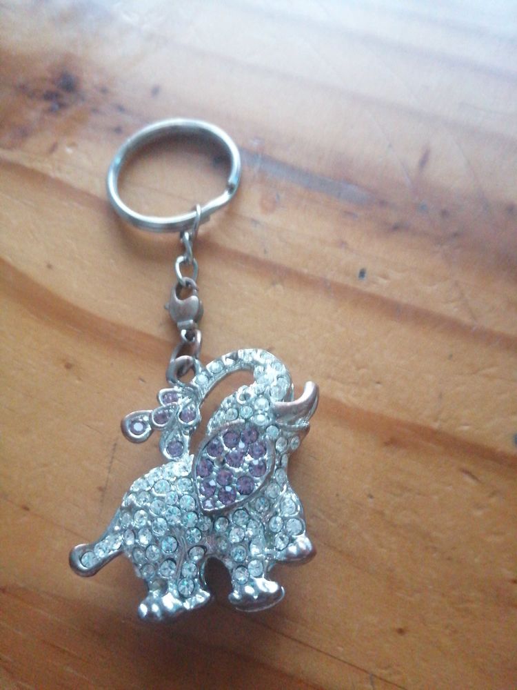 porte cl� �l�phant 5 Calais (62)