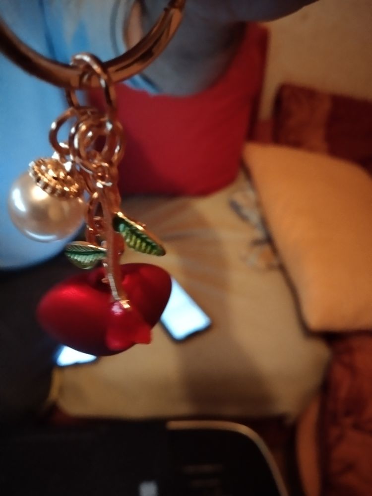 mes porte cl� a 7 euro a d�battre Lydie 7 Bourg-en-Bresse (01)