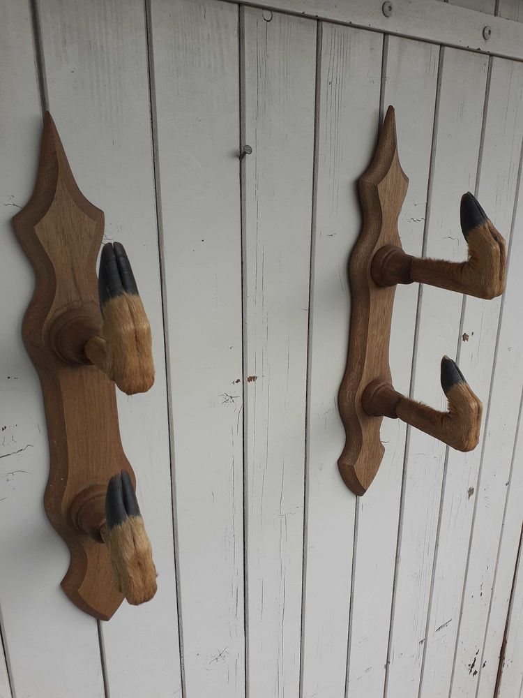 porte fusil p�tes de chevreuil 50 Dax (40)