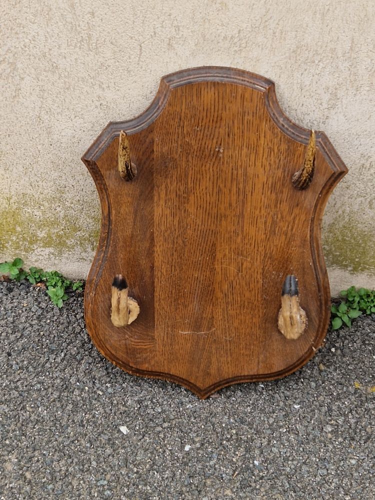 porte 2 fusils 40 Narbonne (11)