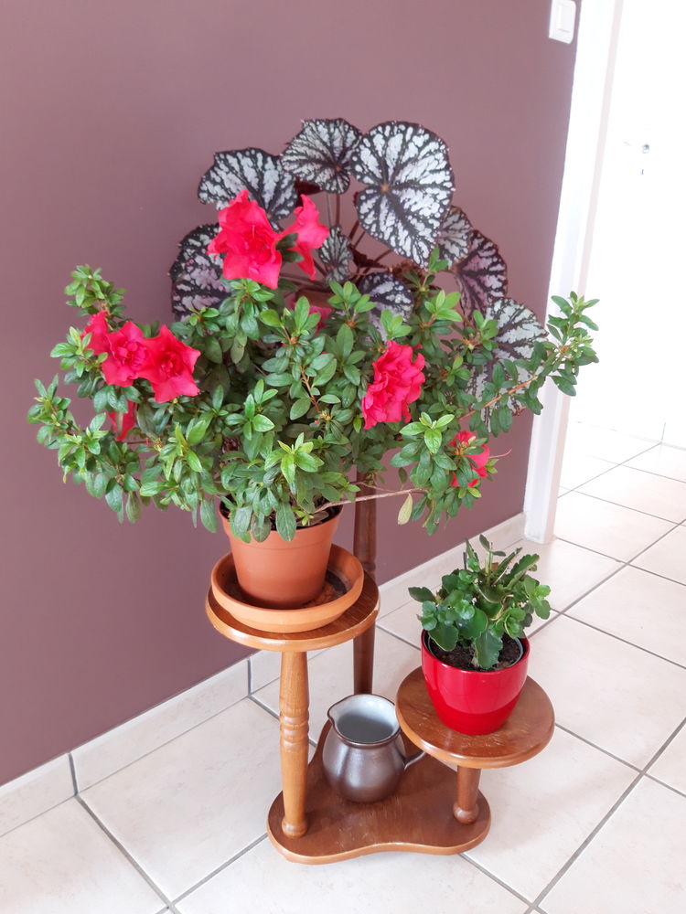 Porte plante en bois 20 La Freissinouse (05)