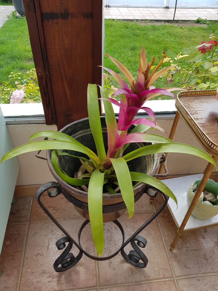 porte plante ou d�coration 29 Blennes (77)