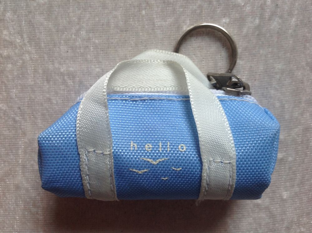 PORTE CL� SAC DE SPORT BLEU CIEL Envoi Possible
1 Tr�gunc (29)