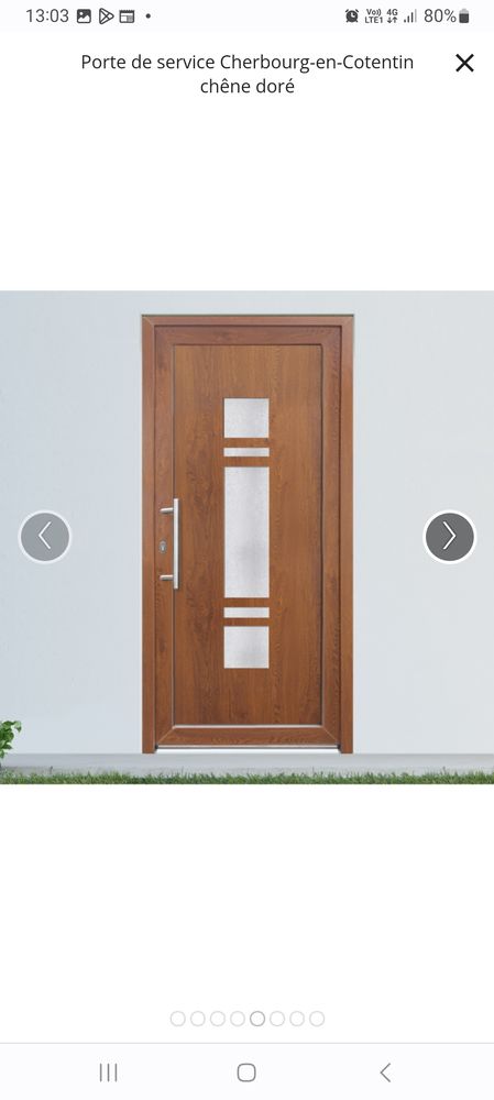 Porte pvc 1 Pelvoux (05)