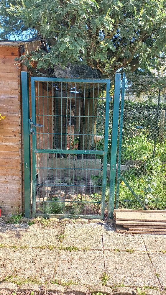 Portillons de jardin 1,62 m 80 Plouha (22)