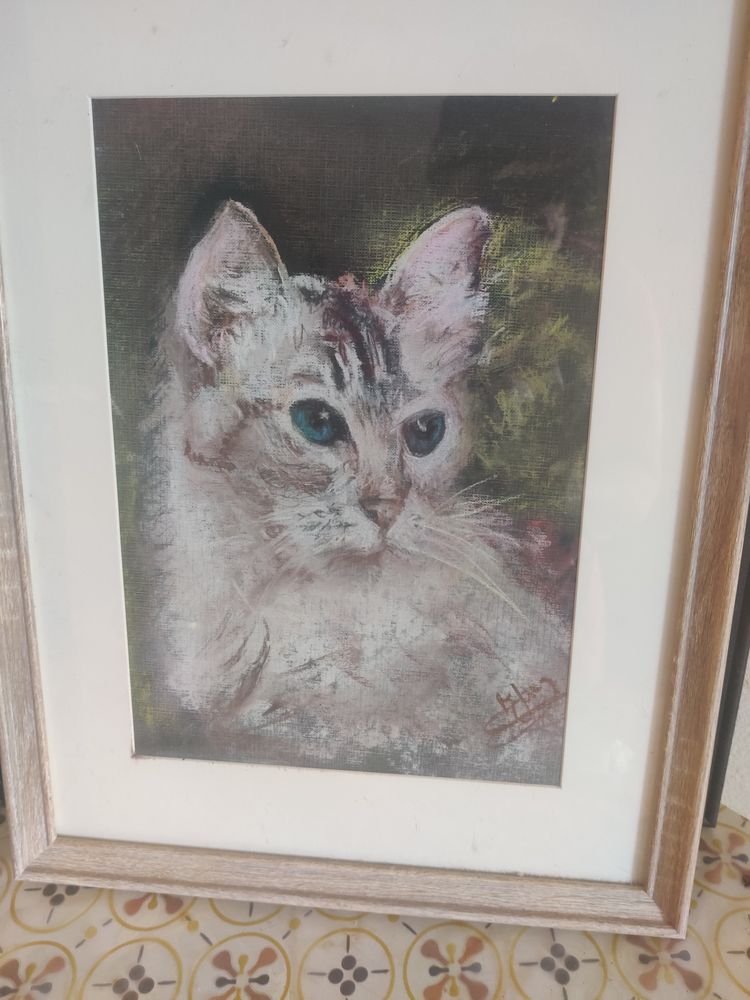 Portrait chat peint au pastel sec signe et encadr� 40 Toulouse (31)