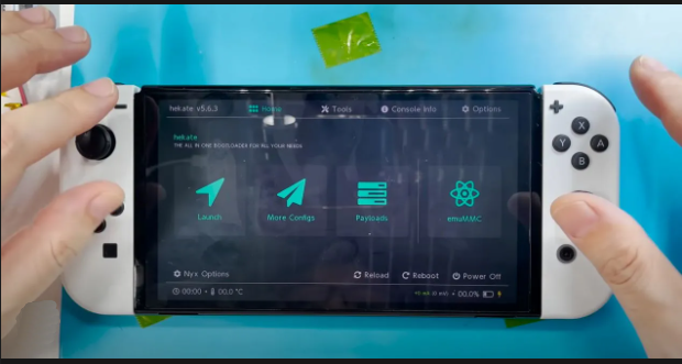 Pose puce Picofly sur Switch 130 Bourg-de-P�age (26)