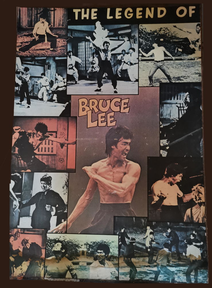 Poster Bruce Lee 10 Saint-Médard-en-Jalles (33)