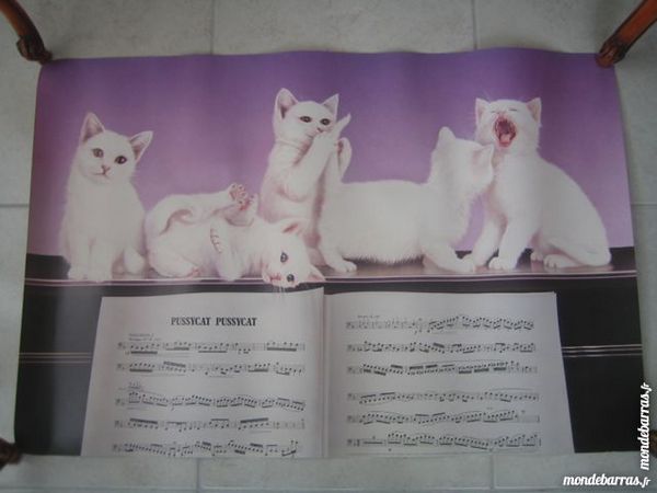 POSTER CHATS 5 Poitiers (86)